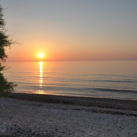 Tassos Apartments Corfu  Εξωτερικό φωτογραφία